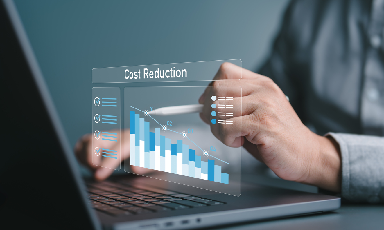 Businessman use computer to analyse enterprise payments for cost reduction.